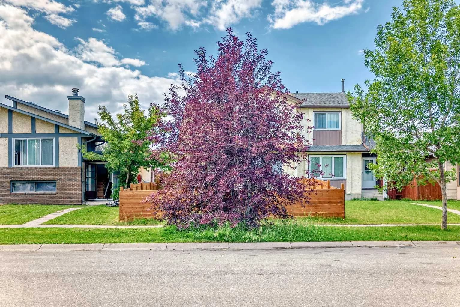 Semi Detached (Half Duplex)
