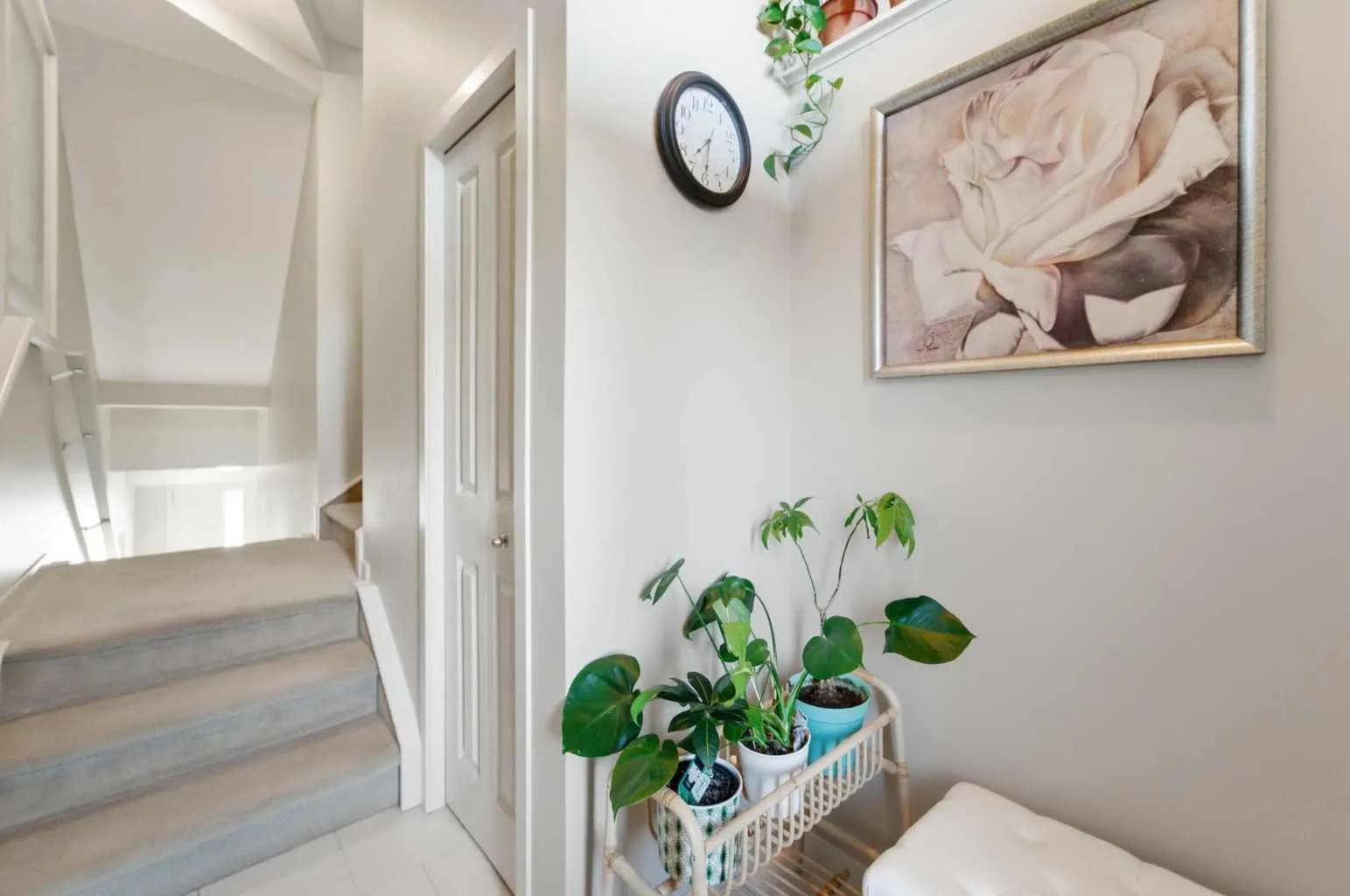 Row/Townhouse