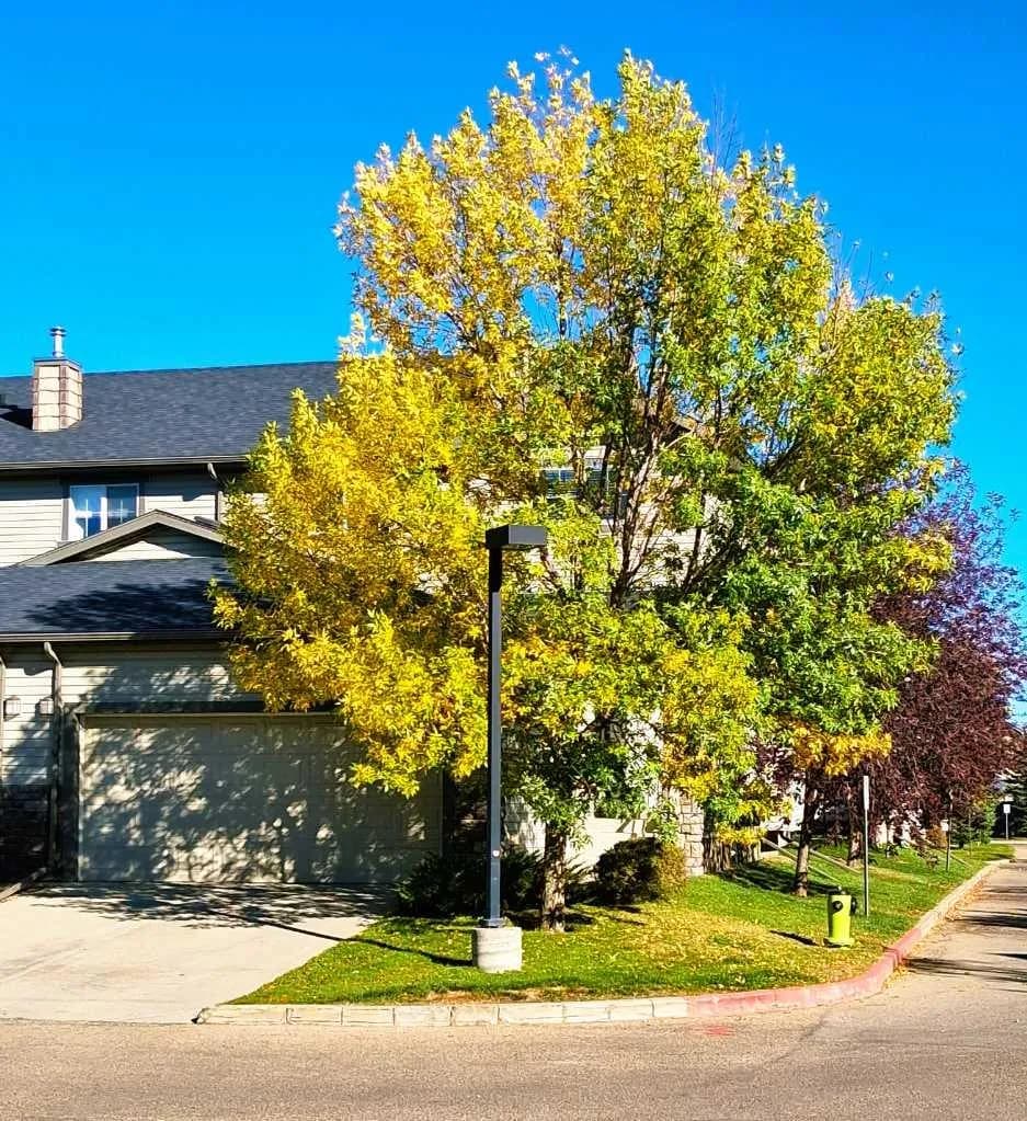 Row/Townhouse