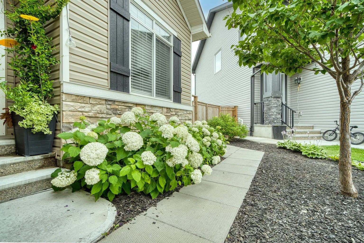 Semi Detached (Half Duplex)